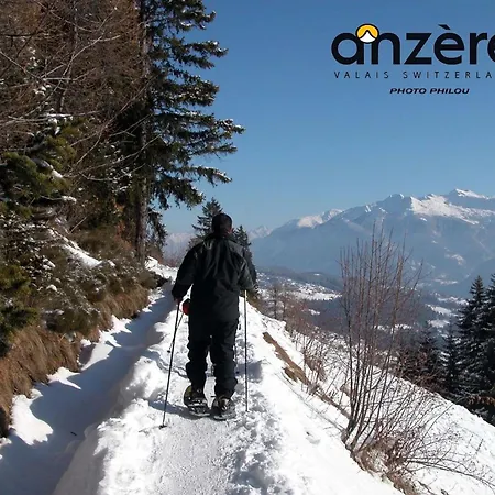 Outstanding For Groups South Facing Breathtaking Views Year Round * Anzère