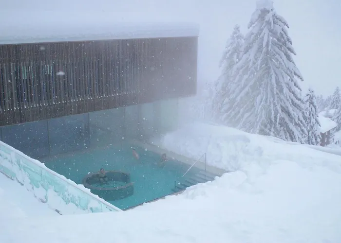 Outstanding For Groups South Facing Breathtaking Views Year Round Anzere